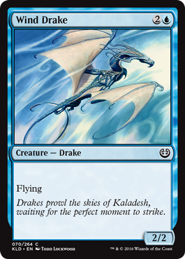 Wind Drake