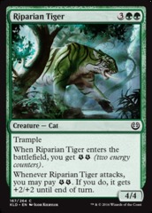 Riparian Tiger - Foil