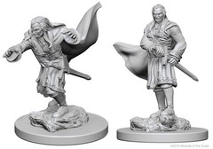 D&D Nolzur's Marvelous Miniatures: Vampires