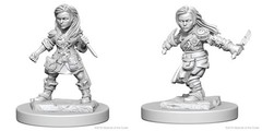 Nolzur's Marvelous Miniatures - Halfling Rogue (Female) (W1)