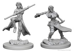 D&D Nolzur's Marvelous Miniatures: Human Monk (Female)