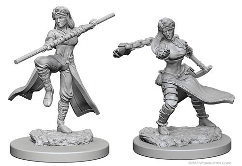 D&D Nolzurs Marvelous Miniatures: Human Monk D&D Nolzurs Marvelous Miniatures: Human Monk