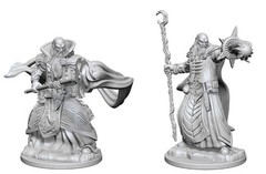 D&D Nolzur's Marvelous Miniatures: Human Wizard (Male)