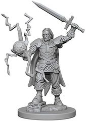 Pathfinder Battles Unpainted Minis - Human Male Cleric