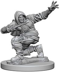 Pathfinder Battles Unpainted Minis - Human Male Rouge