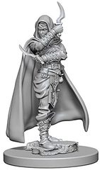 (RETIRED) Pathfinder Battles Deep Cuts Unpainted Minis: W1 Female Human Rogue