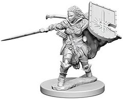 Pathfinder Battles Unpainted Minis - Human Female Paladin