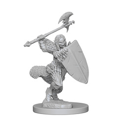 Pathfinder Minis: Wave 1 - Half-Orc Female Barbarian