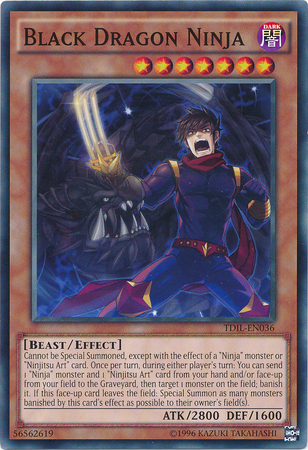 Black Dragon Ninja - TDIL-EN036 - Common - Unlimited Edition