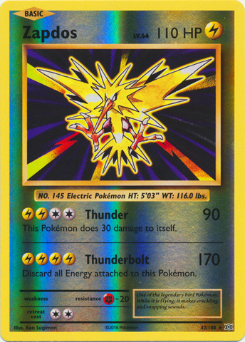 HOLO newest BASIC ZAPDOS