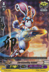 Chronovolley Rabbit - G-TD09/015EN - RRR