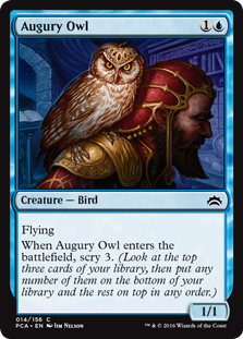 Augury Owl