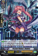 Puzzled Owlner, Clothru - G-TD10/011EN - TD