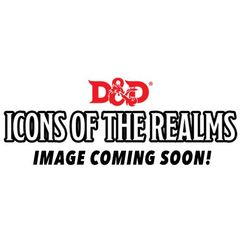 Dungeons And Dragons: Icons Of The Realms - Epic Level Starter