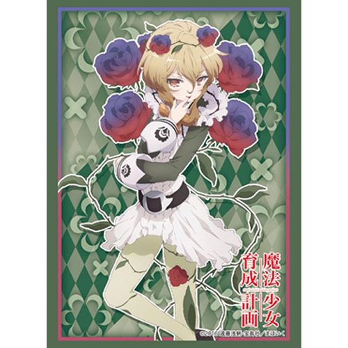 Bushiroad Sleeves: Collection High Grade #242 - Vol.1198