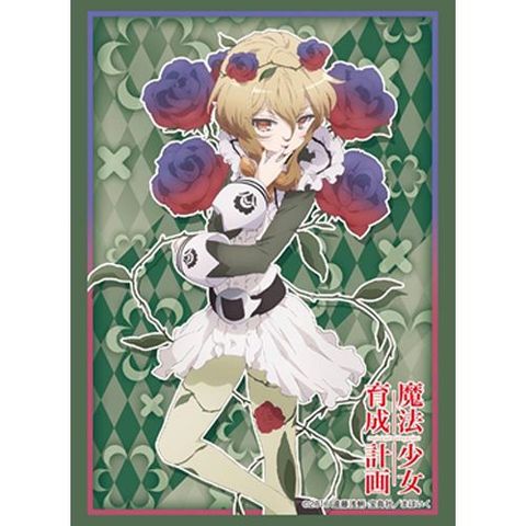 Bushiroad Sleeves: Collection High Grade #242 - Vol.1198