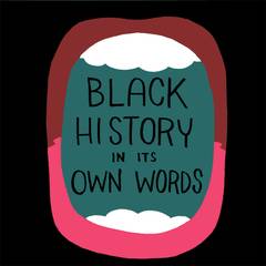 Black History In Its Own Words Hc