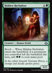 Hidden Herbalists - Foil