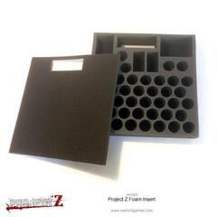 Project Z - Foam Insert