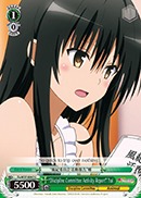 Discipline Committee Activity Report Yui - TL/W37-E047 - C