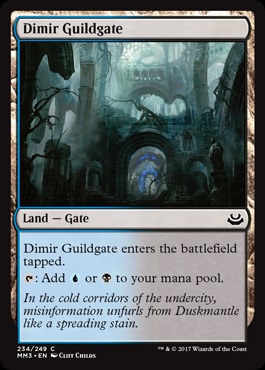 Dimir Guildgate