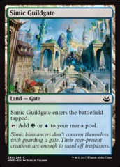 Simic Guildgate - Foil