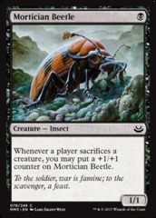 Mortician Beetle