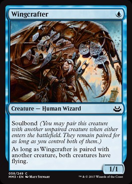 Wingcrafter - Foil