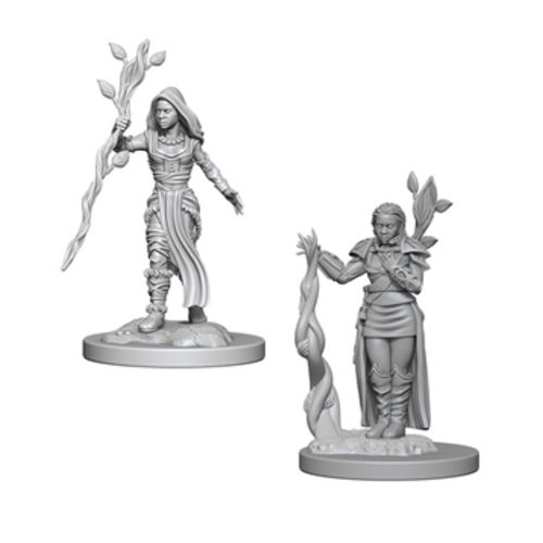 D&D Nolzurs Marvelous Miniatures: Human Female Druid