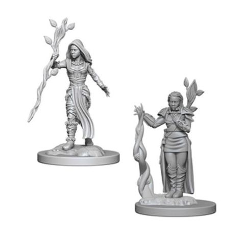D&D Nolzurs Marvelous Miniatures: Human Female Druid