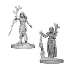 D&D Nolzur's Marvelous Miniatures: Human Female Druid