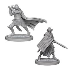 Pathfinder Battles Unpainted Minis - Elf Male Paladin