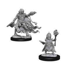 Pathfinder Battles Unpainted Minis - Evil Wizards