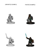 D&D Nolzur's Marvelous Miniatures: Dwarf Female Paladin