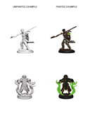 D&D Nolzurs Marvelous Miniatures: Human Male Druid