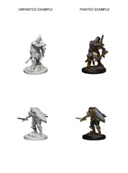 D&D Nolzurs Marvelous Miniatures: Human Male Paladin