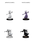 D&D Nolzurs Marvelous Miniatures: Wraith & Specter