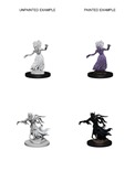 D&D Nolzur's Marvelous Miniatures: Wraith & Specter