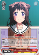 Self-introduction, Kasumi - BD/W47-TE03 - TD