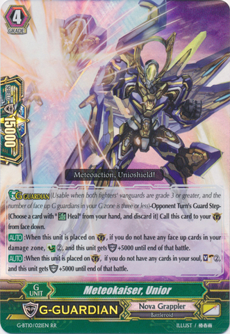 Meteokaiser, Unior - G-BT10/021EN - RR