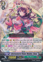 Alstroemeria Flower Maiden, Elana - G-BT10/101EN - C