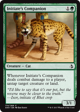 Initiates Companion - Foil