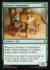 Initiate's Companion - Foil