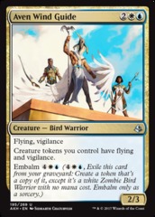 Aven Wind Guide - Foil