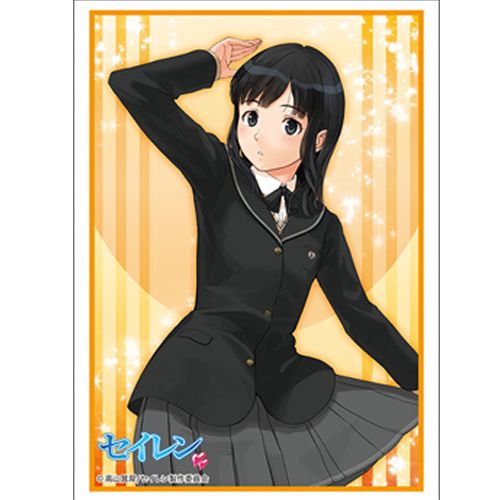 Bushiroad Sleeves: Collection High Grade #252 - Vol.1263