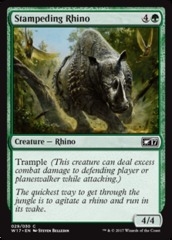 Stampeding Rhino