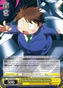 AW/S18-E016 C The Boy Who Wanted Wings, Haruyuki