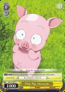 AW/S18-E017 C Pink Pig, Haruyuki