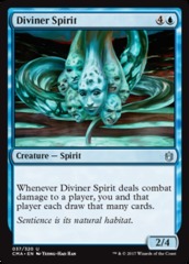 Diviner Spirit