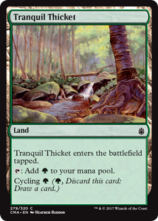 Tranquil Thicket